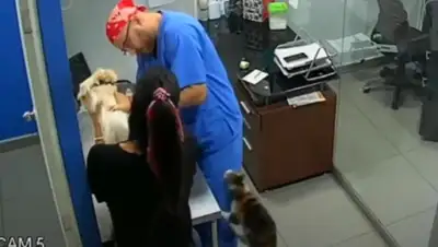 Скриншот, фото - Новости Zakon.kz от 21.05.2020 10:20