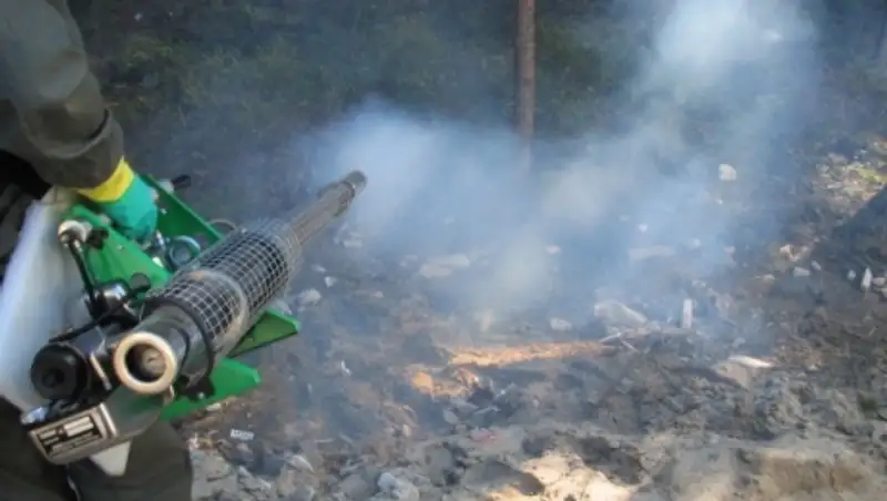 В Астане проводятся дезинсекционные работы