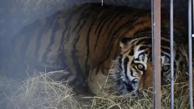 Zakon.kz, фото - Новости Zakon.kz от 18.11.2015 15:29