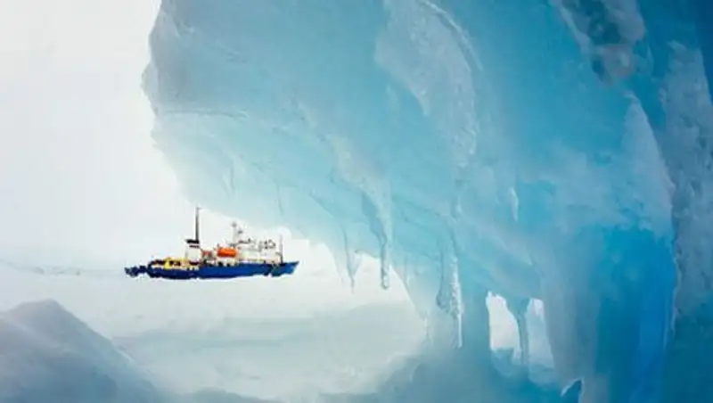 Эвакуировавшее пассажиров «Академика Шокальского» судно застряло во льдах