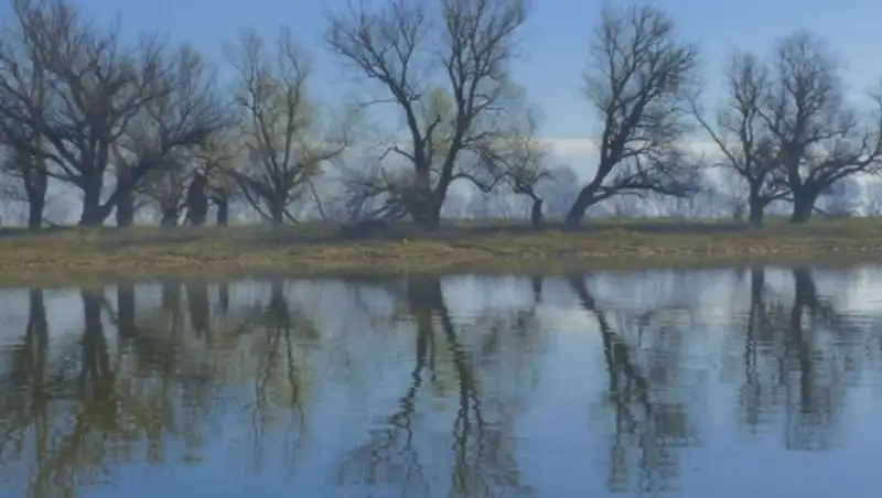 Трехлетний ребенок утонул на мелководье в реке в ВКО