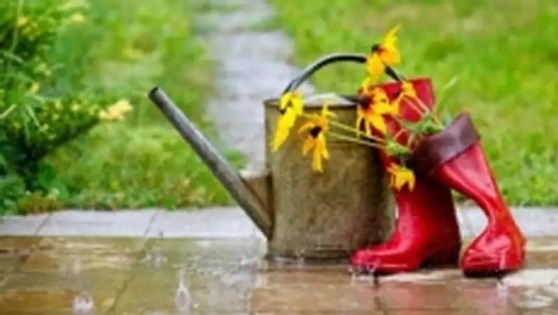 Казахстанцев ждет дождливый уикенд