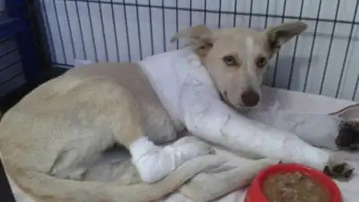 Zakon.kz, фото - Новости Zakon.kz от 22.12.2016 22:30