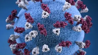 pxhere.com, фото - Новости Zakon.kz от 16.02.2021 01:35