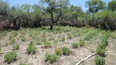 Пресс-служба МВД РК, фото - Новости Zakon.kz от 25.06.2019 11:49