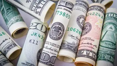 total.kz, фото - Новости Zakon.kz от 15.08.2018 09:31