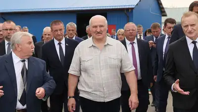 Лукашенко приютил на своей ферме трех котят, фото - Новости Zakon.kz от 17.08.2022 19:52