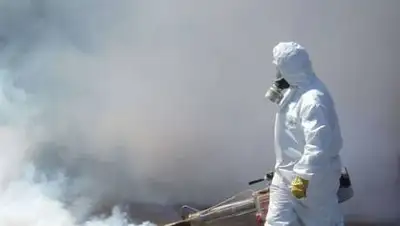 zakon.kz., фото - Новости Zakon.kz от 01.11.2020 08:16