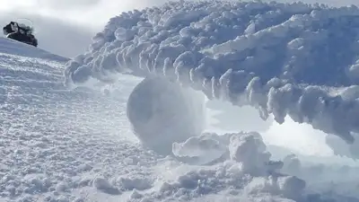 снег, фото - Новости Zakon.kz от 22.01.2023 18:51