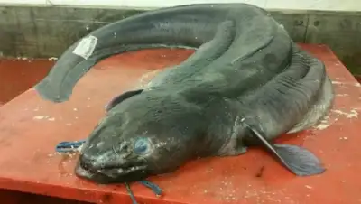 Zakon.kz, фото - Новости Zakon.kz от 18.05.2015 20:46