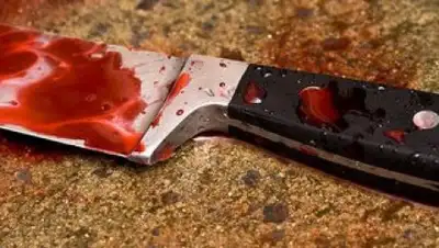 Zakon.kz, фото - Новости Zakon.kz от 01.03.2017 01:30