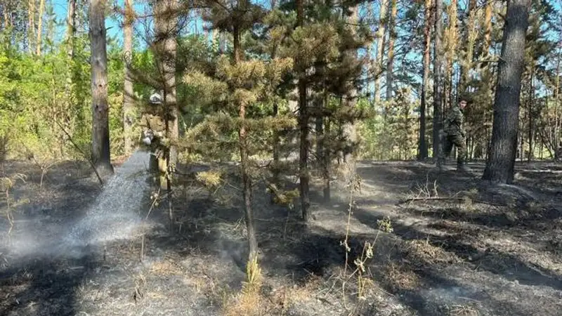 Молния стала причиной пожара в горах ВКО