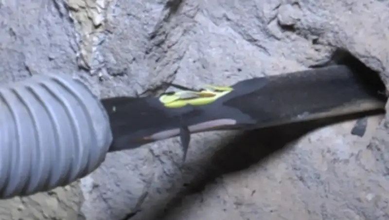 Алматинец из-за "больной" матери хотел украсть кабель от кондиционера