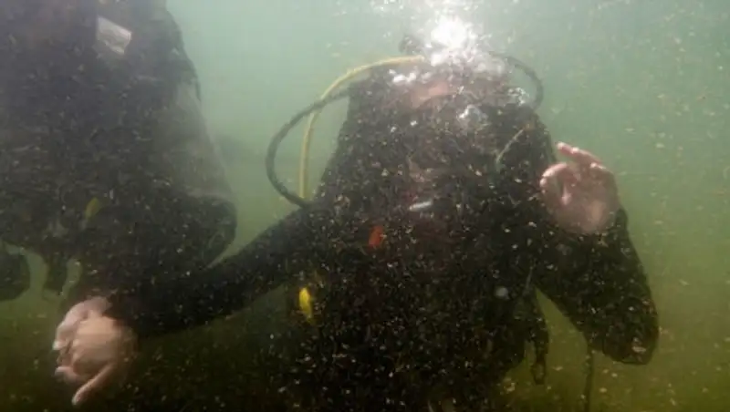 Фестиваль дайверов прошёл в ВКО