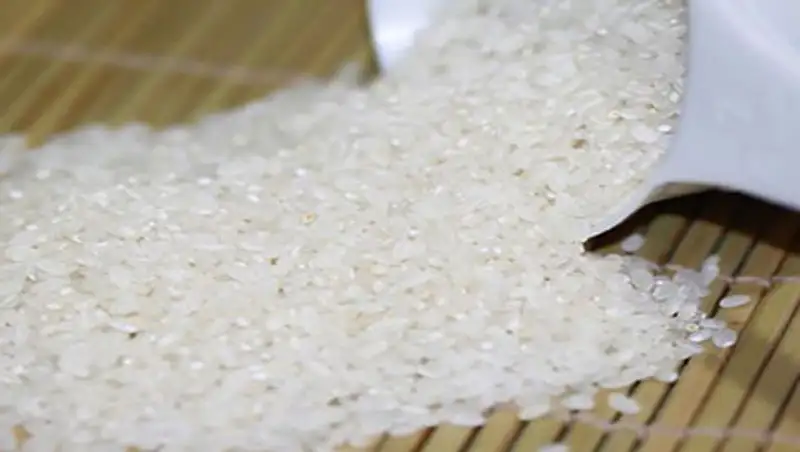 Сотрудничать с рисоводами Кореи планируют в Кызылординской области