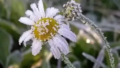 соцсети, фото - Новости Zakon.kz от 01.06.2018 13:35