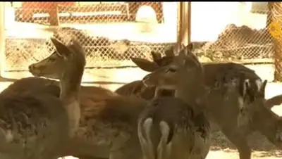 Zakon.kz, фото - Новости Zakon.kz от 11.05.2017 15:25