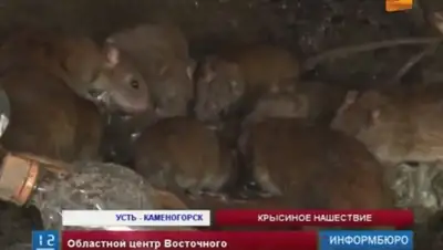 Zakon.kz, фото - Новости Zakon.kz от 19.06.2015 13:06