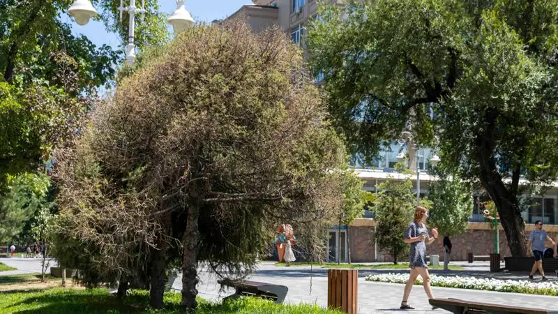 В Бюро статистики посчитали, сколько парков развлечений и отдыха действует в Казахстане