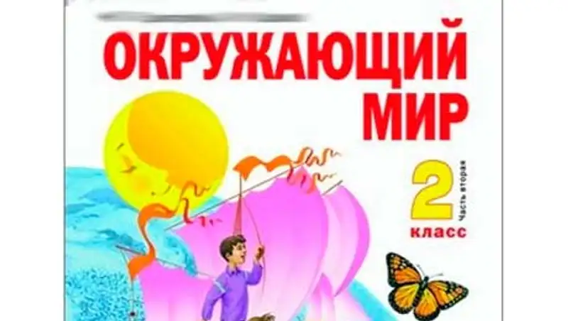 Академики РАН не нашли ошибок в школьном пособии, учившем, что голубь бывает быстрее самолета