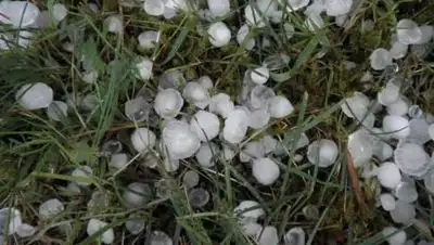 pxhere.com, фото - Новости Zakon.kz от 12.04.2021 15:43