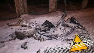 Zakon.kz, фото - Новости Zakon.kz от 03.03.2017 07:01