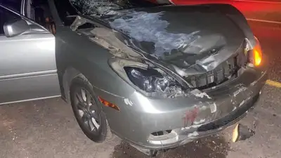 Мужчину сбили насмерть ночью на трассе Алматы-Усть-Каменогорск , фото - Новости Zakon.kz от 04.07.2023 11:30