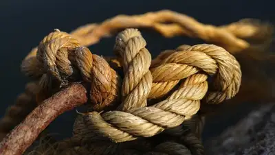 Pixabay, фото - Новости Zakon.kz от 08.01.2020 17:59