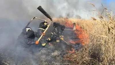 КЧС МВД РК, фото - Новости Zakon.kz от 19.10.2020 16:05