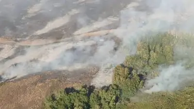 ДЧС Усть-Каменогорска., фото - Новости Zakon.kz от 21.08.2021 19:13