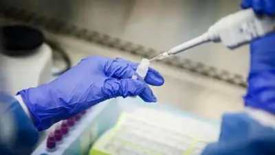 inform.kz, фото - Новости Zakon.kz от 11.11.2020 12:29