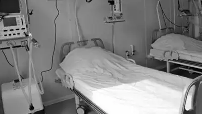 24.kz, фото - Новости Zakon.kz от 11.05.2021 09:08