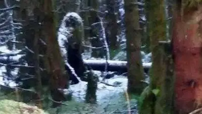 Zakon.kz, фото - Новости Zakon.kz от 13.01.2017 15:35