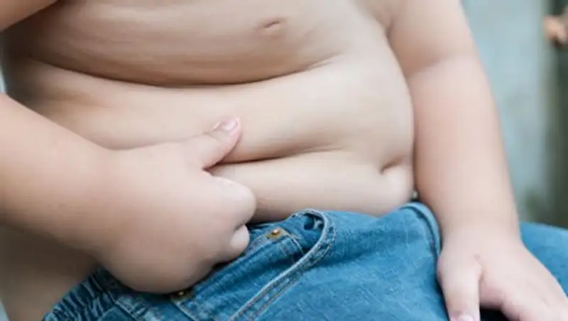 Биохимики назвали главного виновника ожирения