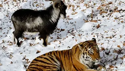 Zakon.kz, фото - Новости Zakon.kz от 09.12.2015 00:43