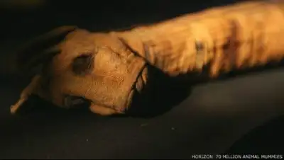 Zakon.kz, фото - Новости Zakon.kz от 11.05.2015 19:41