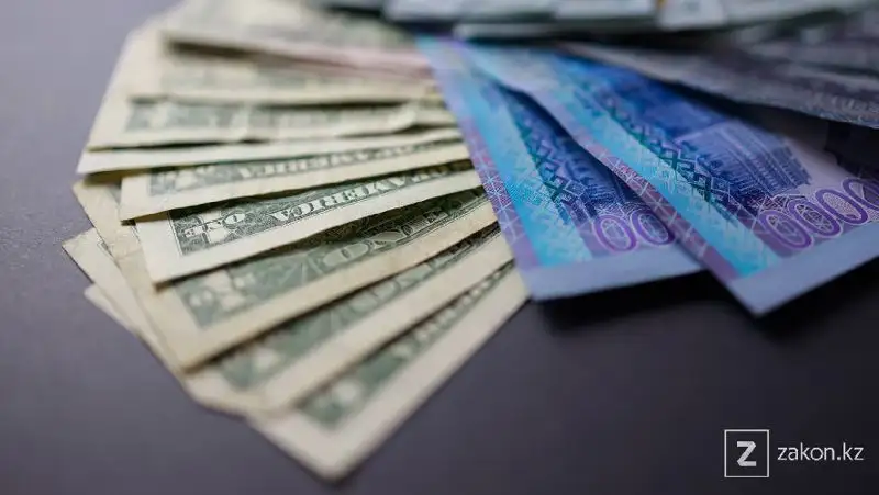 Ответственность за незаконное обогащение могут ввести в Казахстане