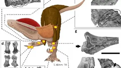 Zakon.kz, фото - Новости Zakon.kz от 26.02.2016 23:16