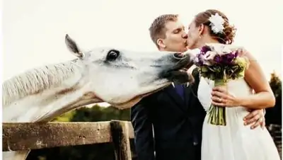 bigpicture.ru, фото - Новости Zakon.kz от 04.11.2020 13:14