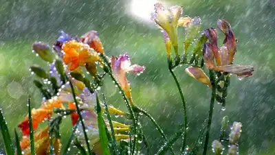 Zakon.kz, фото - Новости Zakon.kz от 08.05.2016 12:01