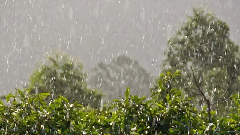 Погода в Алматы на неделю: сильная жара, гроза и град