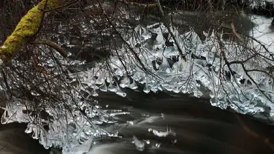 Парни провалились под лед, фото - Новости Zakon.kz от 25.12.2021 18:45