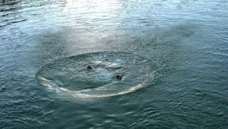 В реке Шу ищут пропавшего жителя Жамбылской области