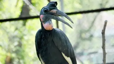 Zakon.kz, фото - Новости Zakon.kz от 13.07.2015 06:15