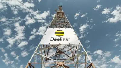 Beeline, фото - Новости Zakon.kz от 11.11.2020 10:59