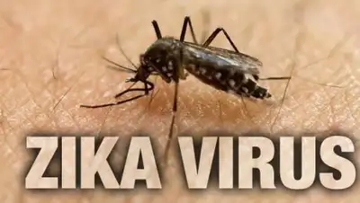 Zakon.kz, фото - Новости Zakon.kz от 13.08.2016 12:32