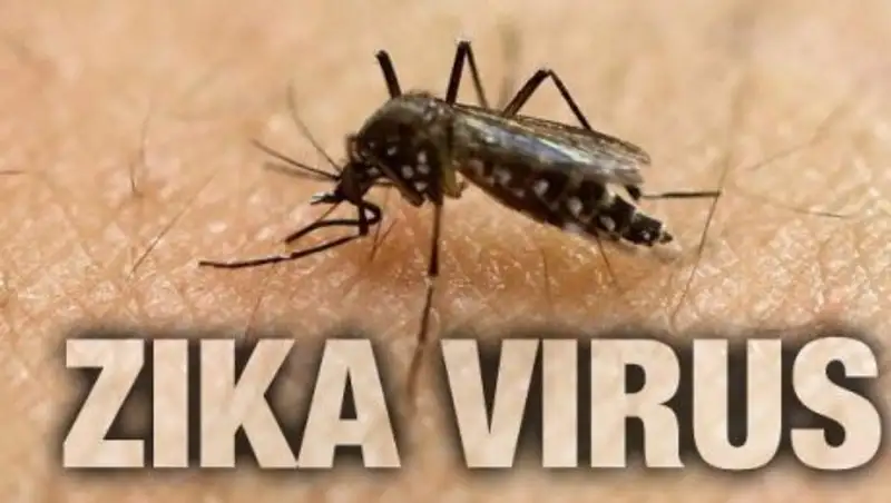 Власти США ввели режим ЧС в Пуэрто-Рико из-за распространения вируса Зика