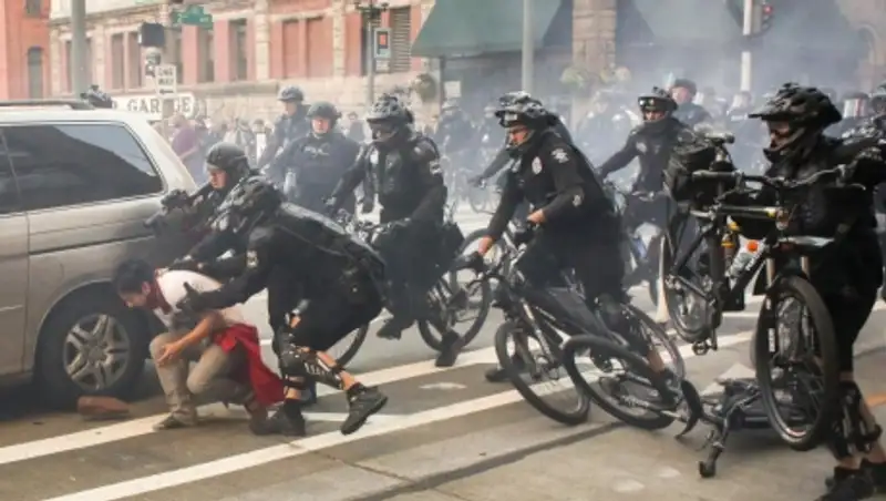 Прошедшая неделя в фотографиях