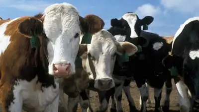 Zakon.kz, фото - Новости Zakon.kz от 22.07.2016 14:52