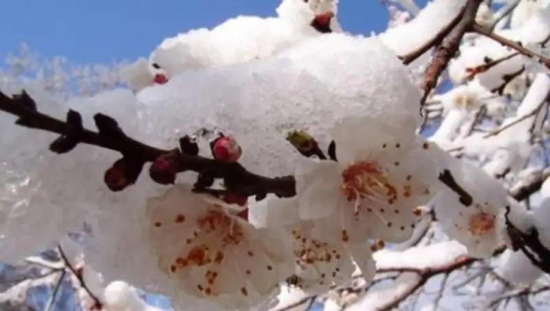 Осадки ожидаются в ряде регионов Казахстана в воскресенье